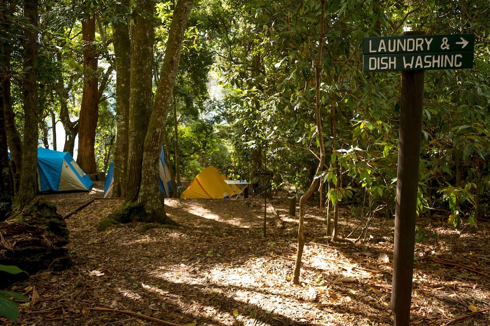 binna burra rainforest campsite