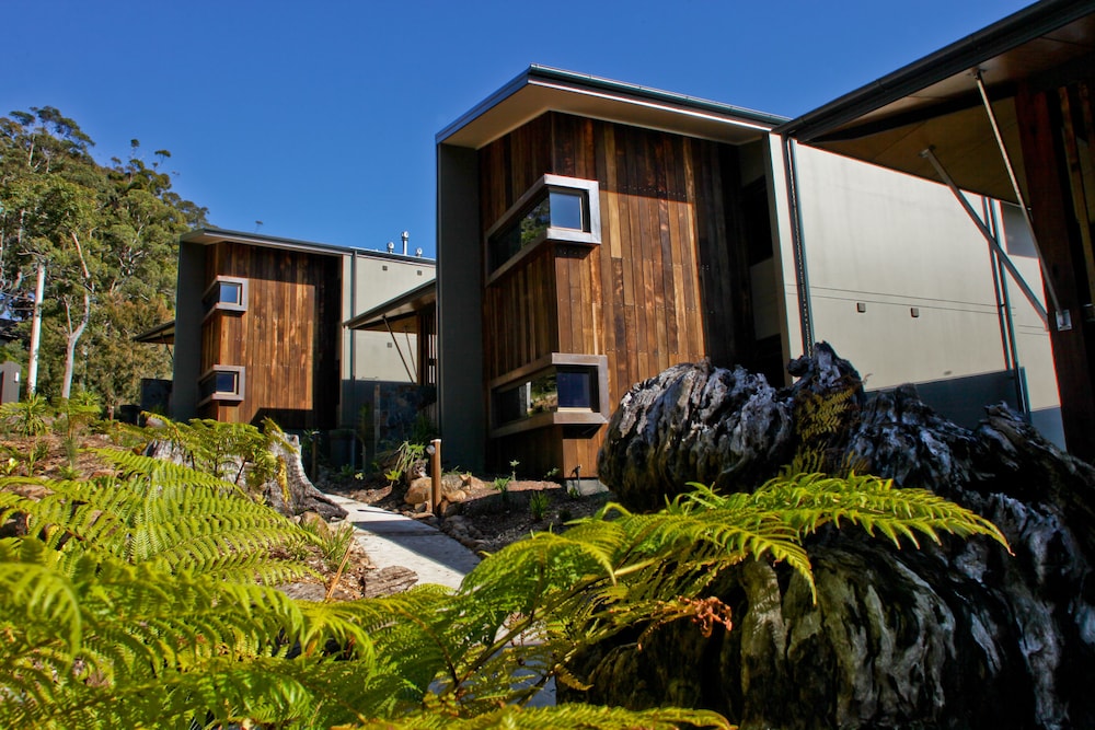 binna burra rainforest campsite
