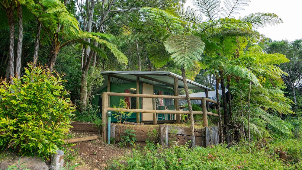 binna burra rainforest campsite