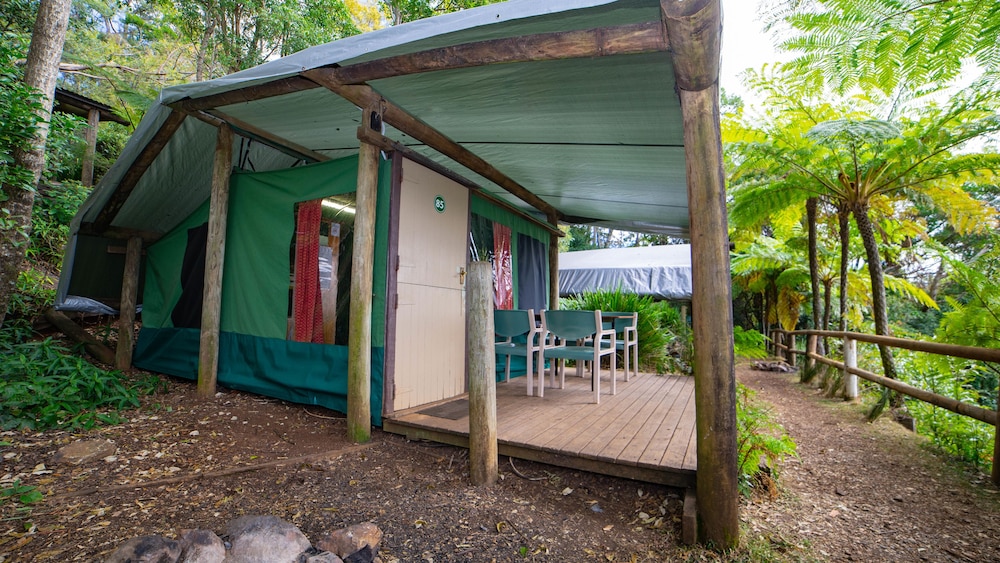 binna burra rainforest campsite