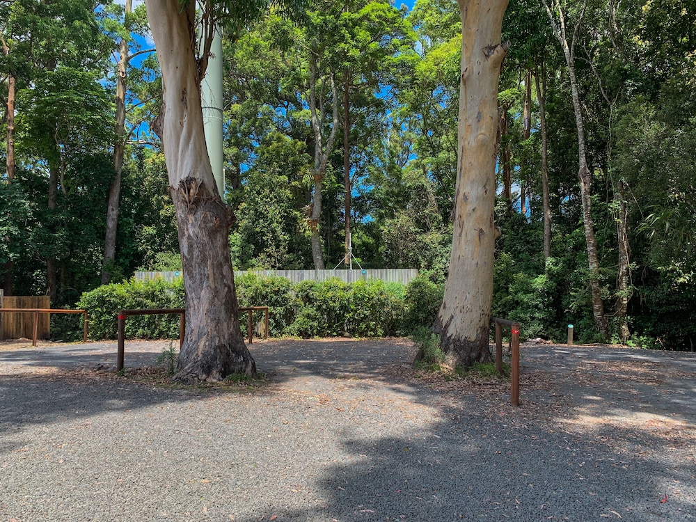 binna burra rainforest campsite