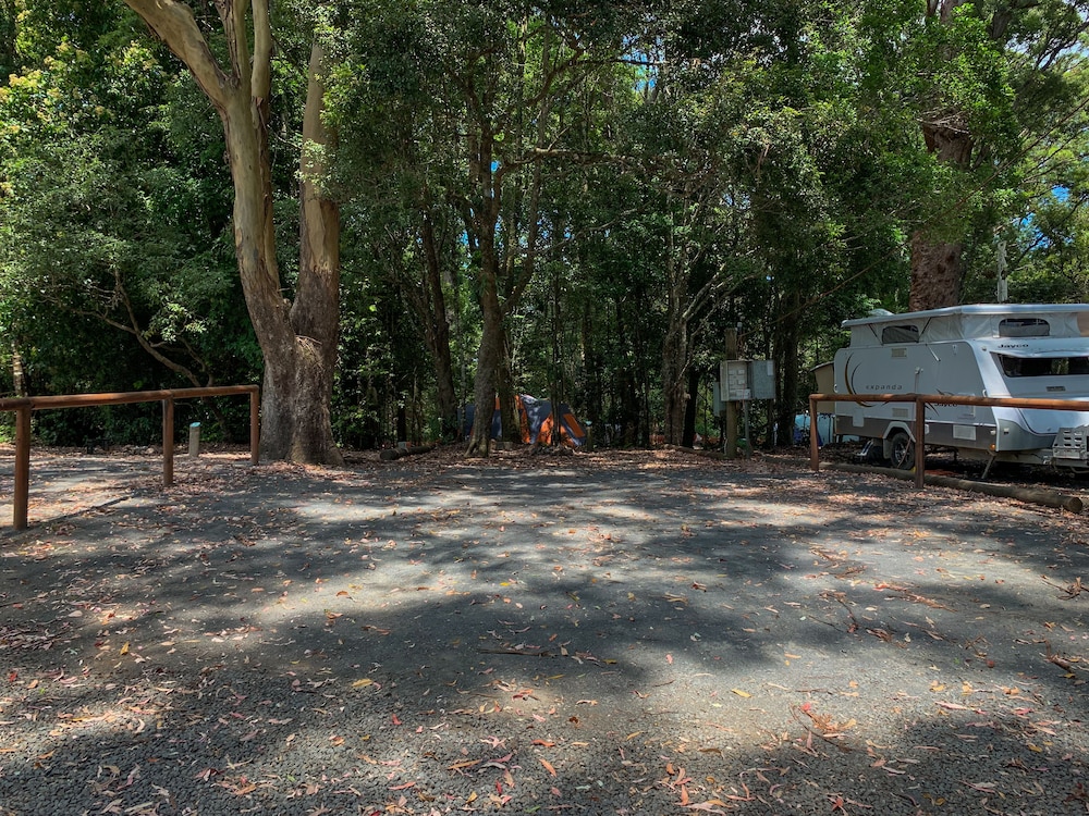 binna burra rainforest campsite