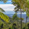 binna burra rainforest campsite