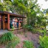 binna burra rainforest campsite
