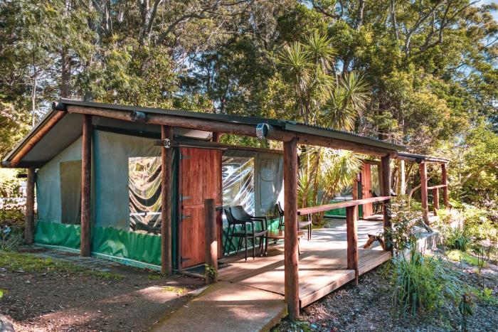 binna burra rainforest campsite
