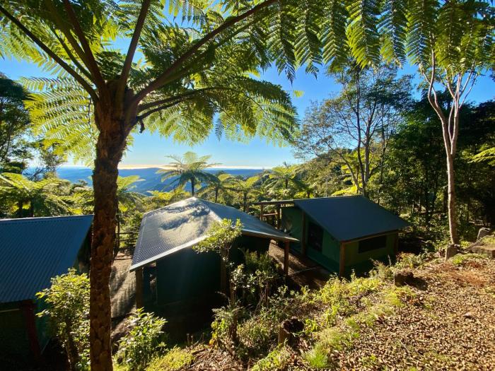 binna burra rainforest campsite