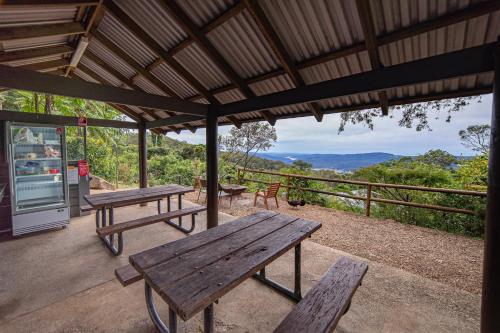 binna burra rainforest campsite