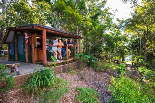 binna burra rainforest campsite