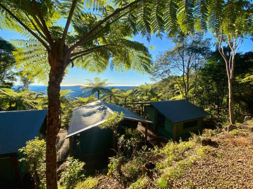 binna burra rainforest campsite