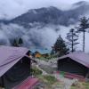 ourguest camp lachung