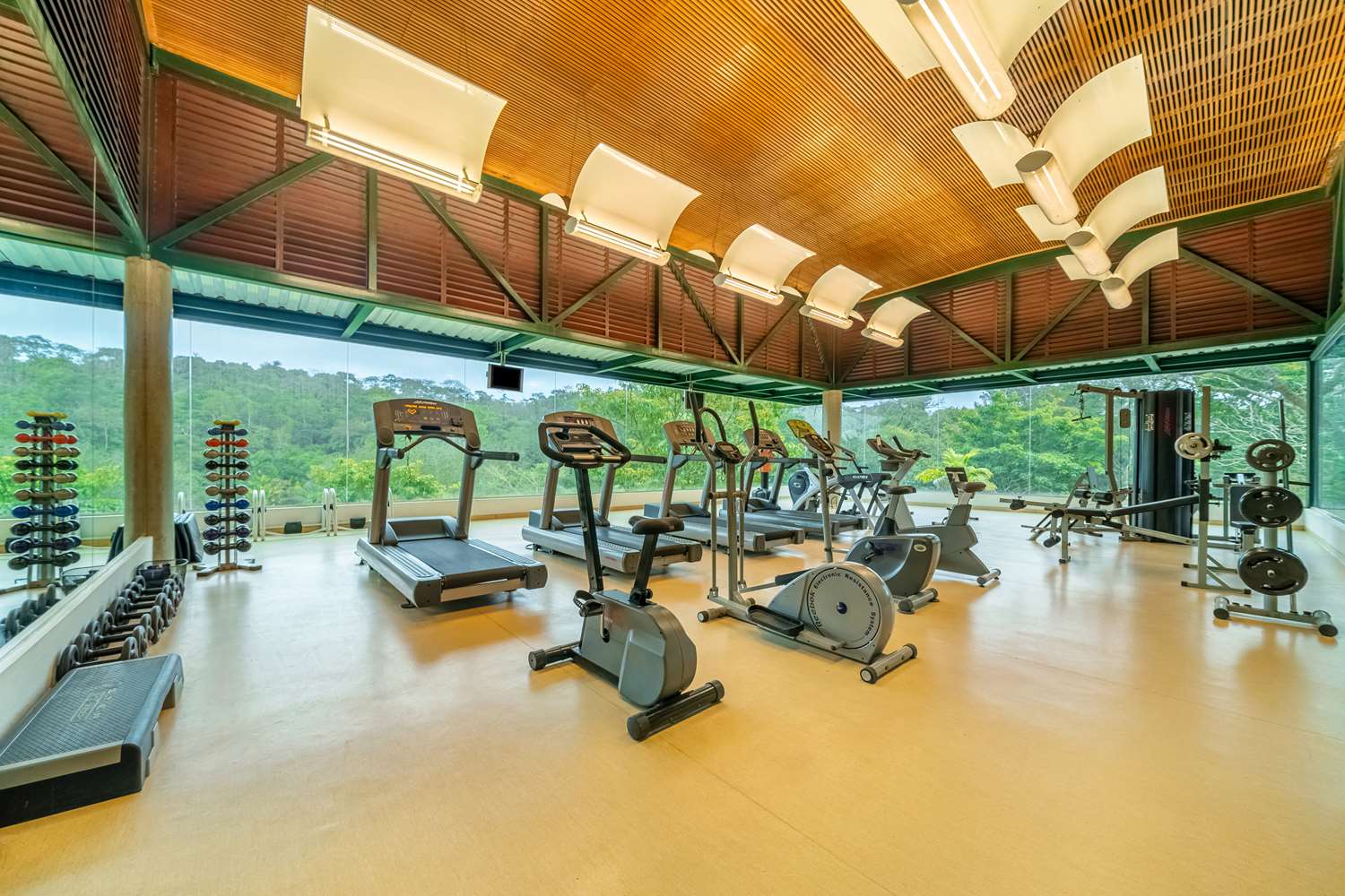 almenat embu das artes tapestry collection by hilton