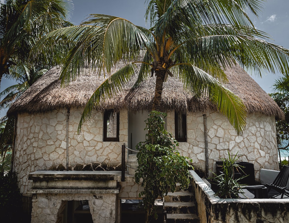 nest tulum