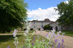 chateau masburel