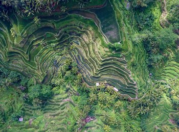 villa oia ubud