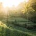 villa oia ubud