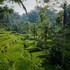 villa oia ubud