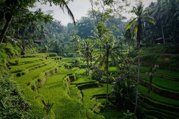 villa oia ubud