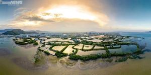 nhatui share quy nhon serviced apartment