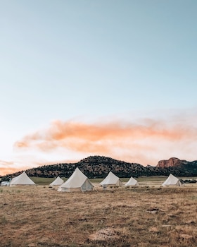 wander camp yellowstone