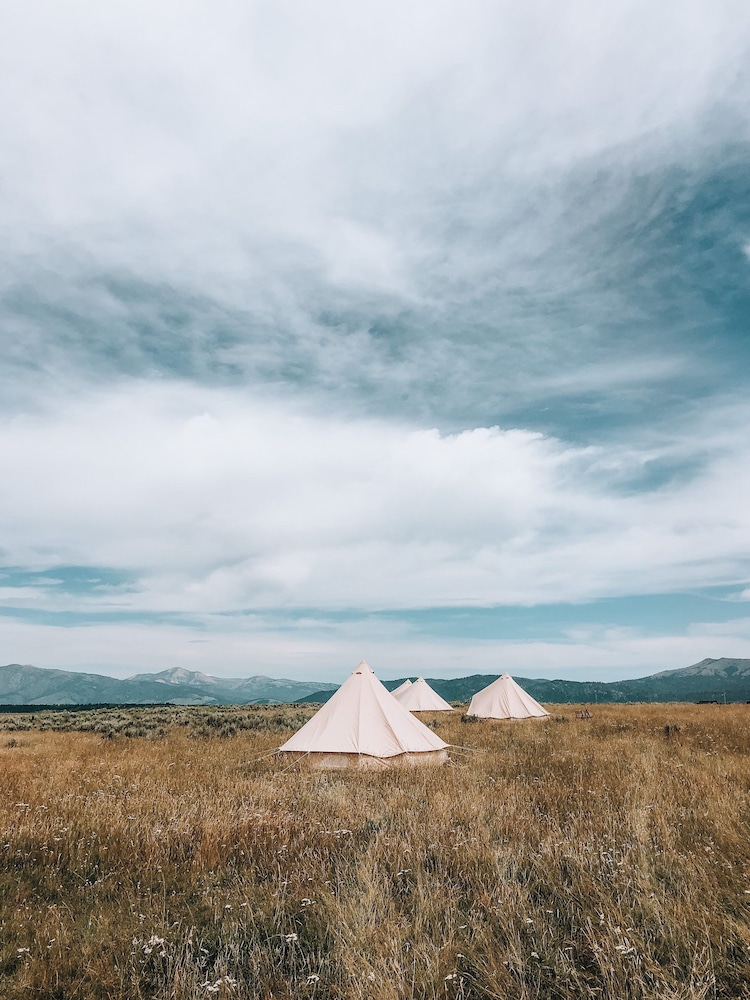wander camp yellowstone