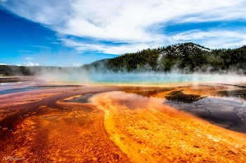 wander camp yellowstone