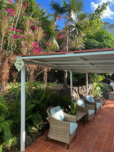 the green iguana hotel