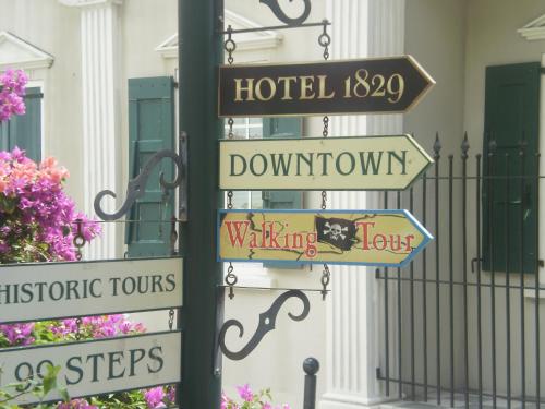 the green iguana hotel