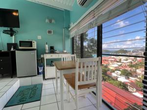 the green iguana hotel