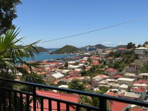 the green iguana hotel