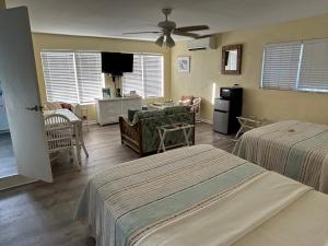 the green iguana hotel