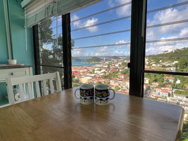 the green iguana hotel