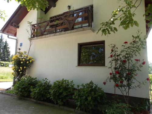 dreznik grad