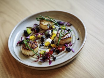 novotel cambridge north