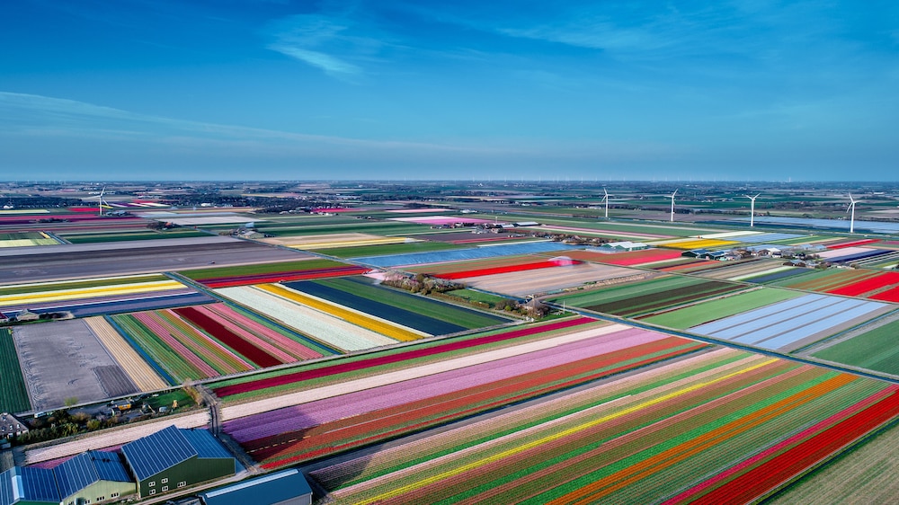 schagen