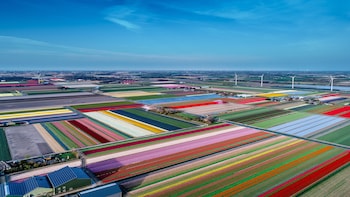schagen