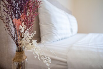 luxy park hotel and apartments notre dame
