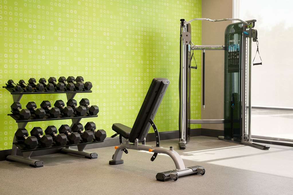 la quinta inn and suites by wyndham san antonio seaworld lafb