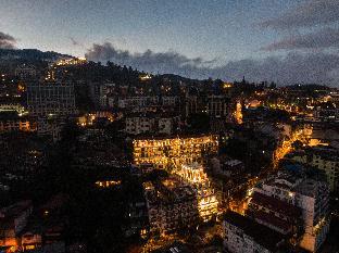 cat cat galerie dart