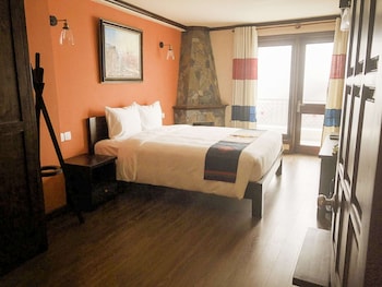 cat cat galerie dart