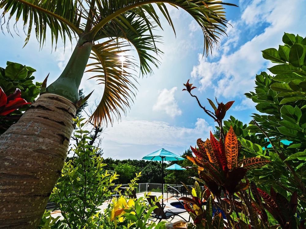 odysis onna resort hotel