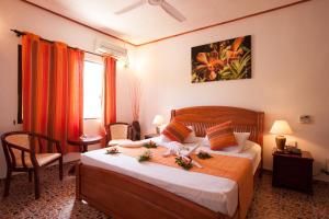 orchid self catering apartment