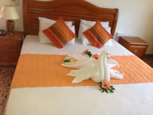 orchid self catering apartment
