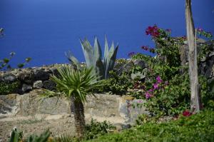 pantelleria