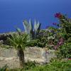 pantelleria