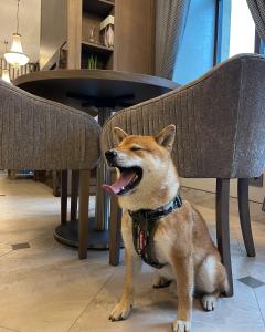 calvary hotel and restaurant vilnius