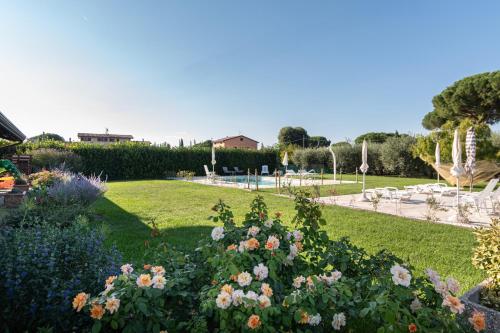 rosa di assisi