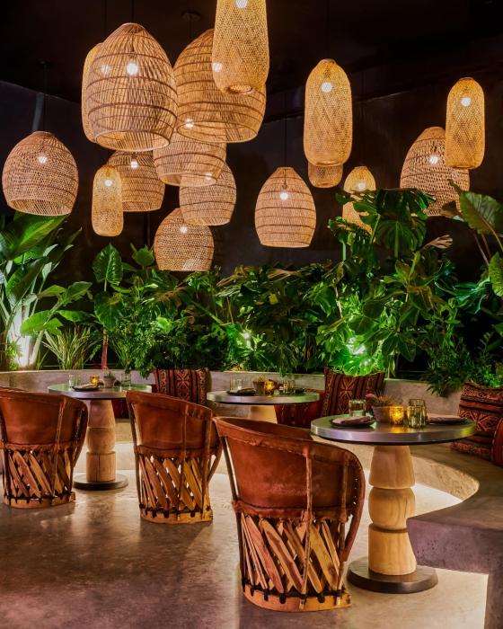 tommie hollywood part of jdv by hyatt