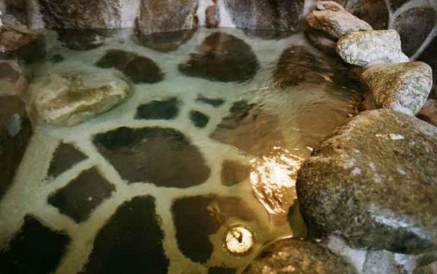 hakonowa hot spring inn