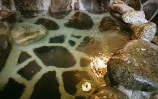 hakonowa hot spring inn