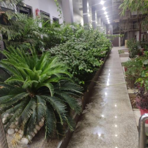 citi pride garden and hotel ajmer